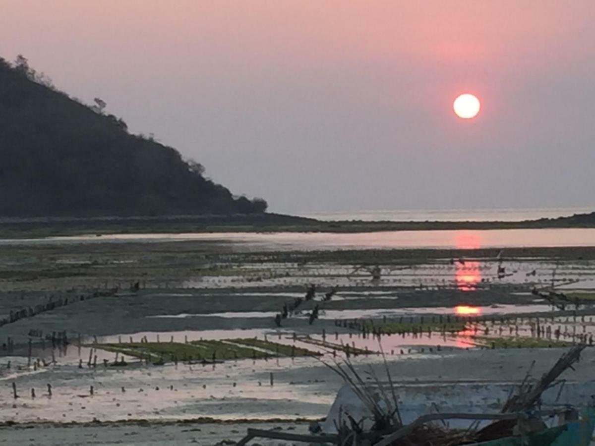 Boneputeh Homestay Taliwang Dış mekan fotoğraf